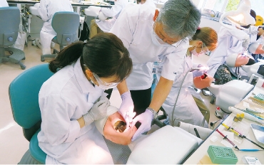 歯と根尖歯周組織の疾患