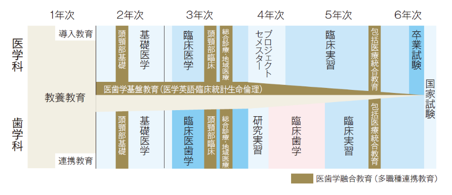 カリキュラム 歯学科 公式ホームページ 国立大学法人 東京医科歯科大学歯学部 カリキュラム 歯学科 公式ホームページ 国立大学法人 東京医科歯科大学歯学部