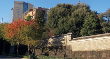 入学案内