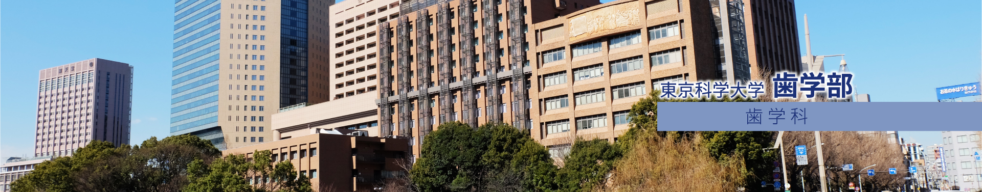 東京科学大学 歯学部 歯学科