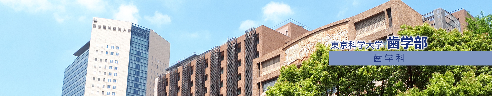 東京科学大学 歯学部 歯学科