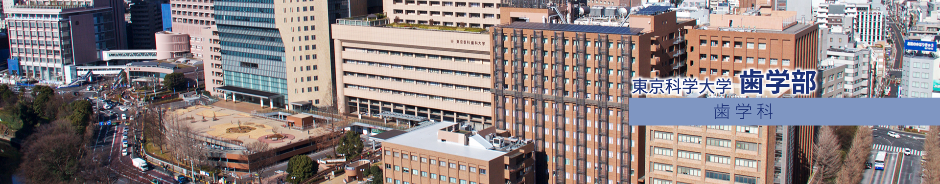 東京科学大学 歯学部 歯学科