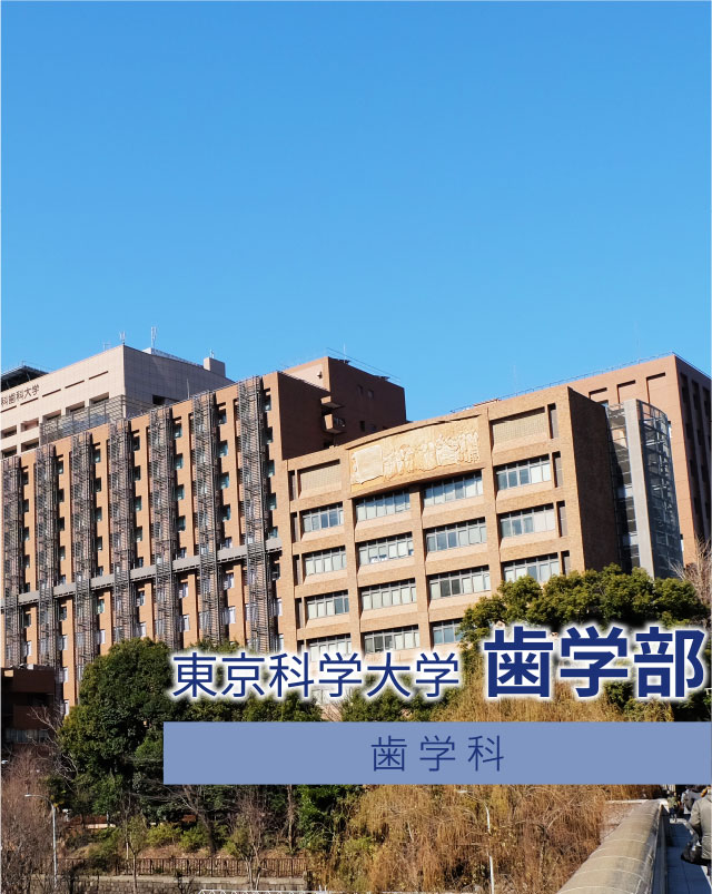 東京科学大学 歯学部 歯学科