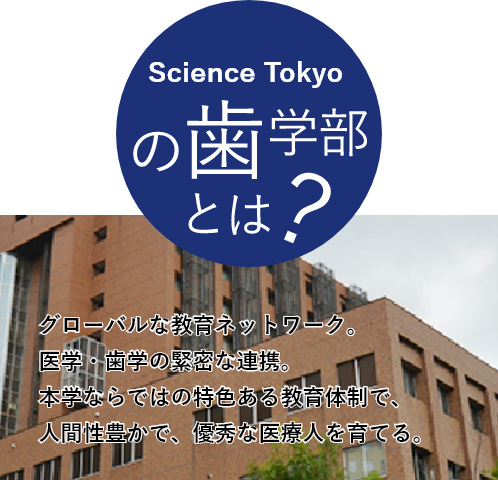 Tokyo Medical And Dental University Faculty Of Dentistry National University Corporation