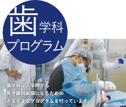 口腔内科学 HS-20 NXシリーズ : 分析計測機器（分析装置） 島津製作所