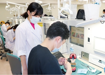 咬合育成・発達
