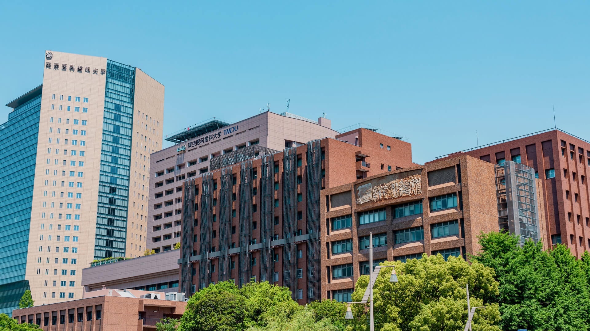 medical research institute tokyo medical and dental university