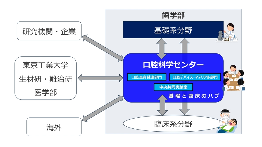 口腔デバイス・マテリアル学分野イメージ図