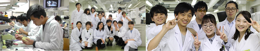 International Program from Taipei Medical University, Taiwan. (October 2017 to August 2018)