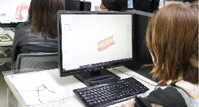 4年次の学び
