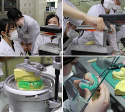 特色ある学び・4年次の学び｜口腔保健工学専攻 公式ホームページ｜国立