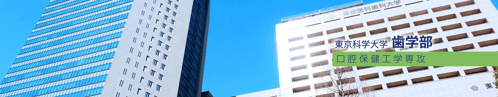 東京科学大学 歯学部 口腔保健工学専攻