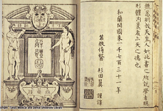 解体新書