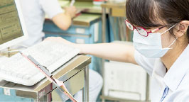 4年次の学び